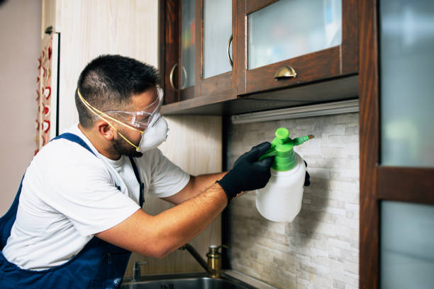 Best Flea Control Services  in Adair Village, OR