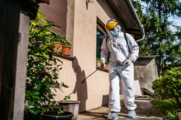 Best Bird Control  in Adair Village, OR