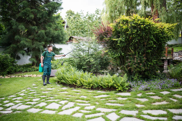 Best Rodent Control Near Me  in Adair Village, OR