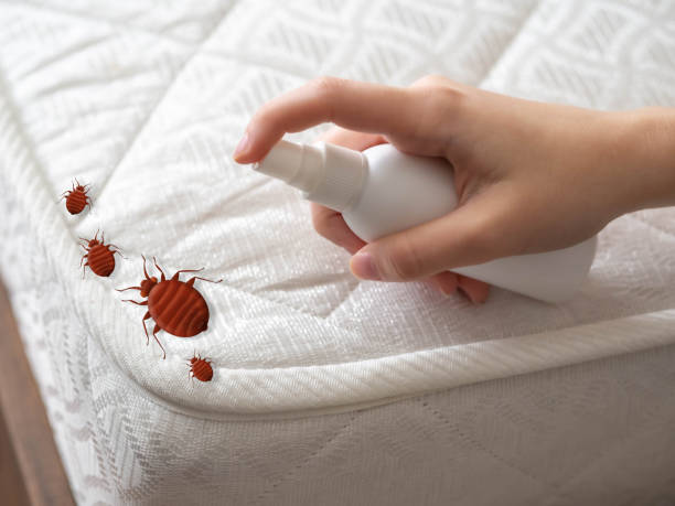 Best Pest Removal Services  in Adair Village, OR