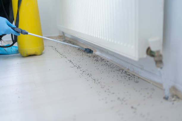 Best Bed Bug Extermination  in Adair Village, OR