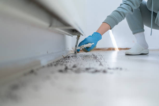 Best Rat Extermination Near Me  in Adair Village, OR