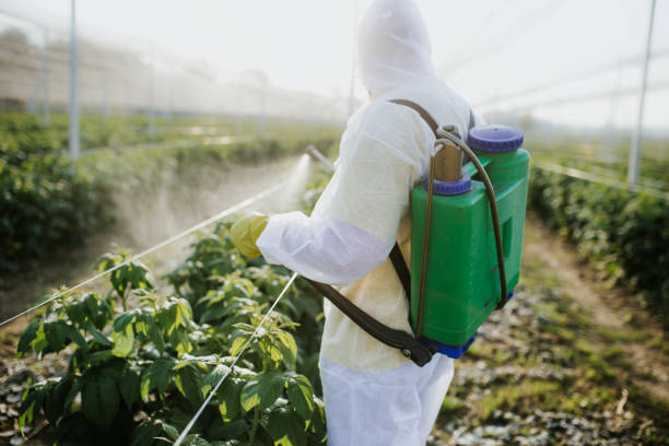 Flea Control Services in Adair Village, OR